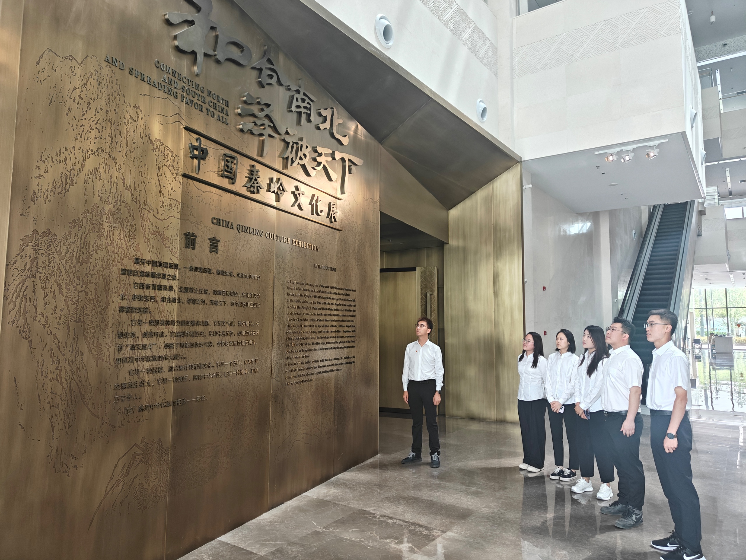 5.秦新礦業(yè).jpg